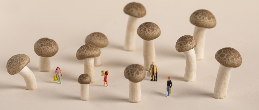 [1109创精选]苹果回应和硕违规使用学生工，罗永浩直播公司四成股权卖近6亿